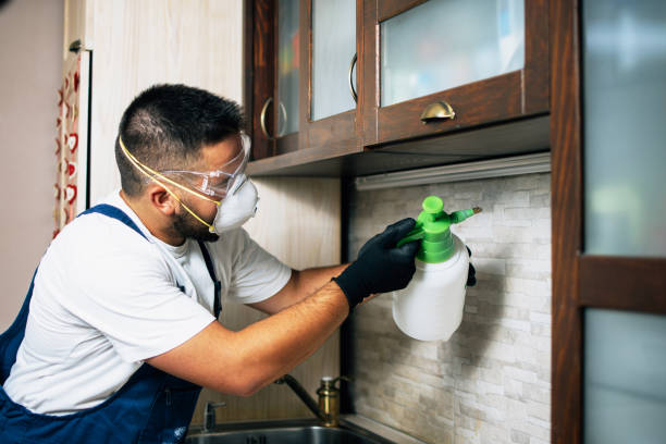 Best Cockroach Control Services  in Monroe, GA
