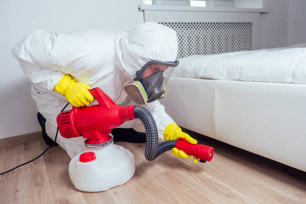 Wasp Removal Services in Monroe, GA